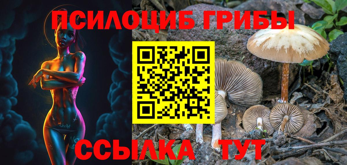 купить закладку  Псилоцибиновые грибы Psilocybe  Вход с VPN  Белореченск 